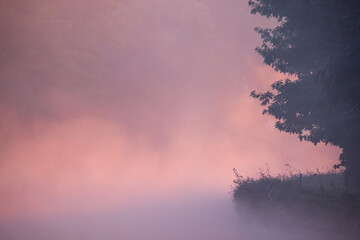 This image exudes a dreamlike quality with soft pink and purple hues of dawn's early light...