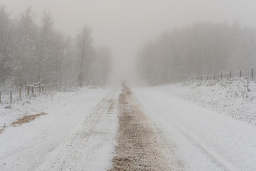 A foggy winter morning on a back country dirt road in Canada with snow frosted trees