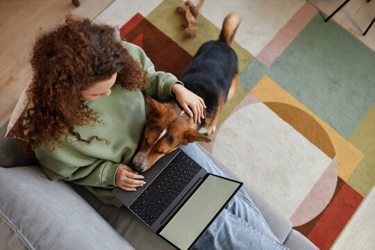 Top view of loyal dog laying head on young woman using laptop on sofa at home, copy space