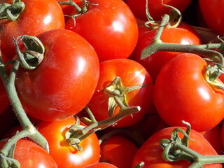 tomates - 694938175