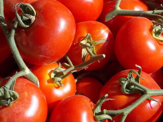 tomates - 694938178