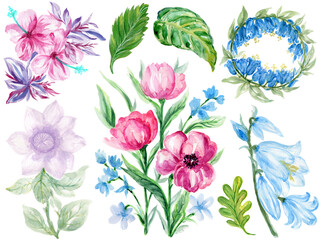 Spring and summer Background watercolor arrangements elements with small flower