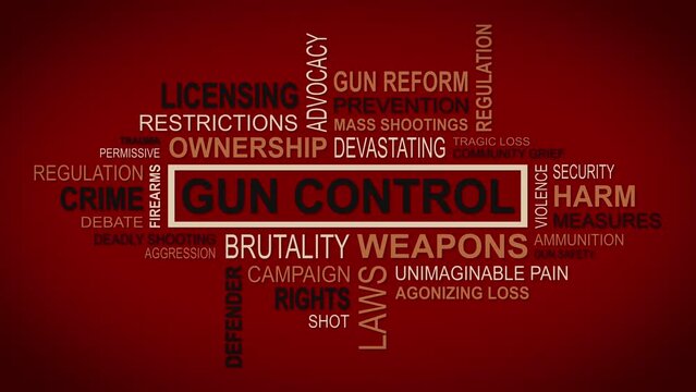 Unveiling Perspectives: A Dynamic Concept of Gun Control Related Themes