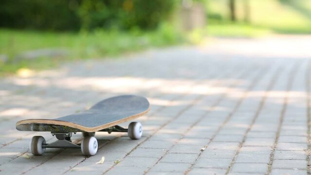 Empty skateboard drive along paving stone alley in the park