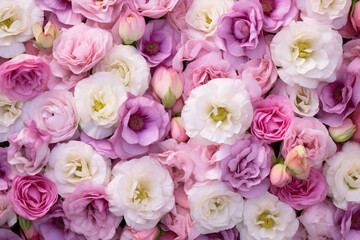 Background of pink eustoma flowers