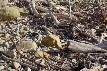 Beach debris after a winter storm