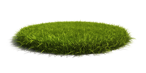 Green moss with decorative rocks and grass isolated on white background	