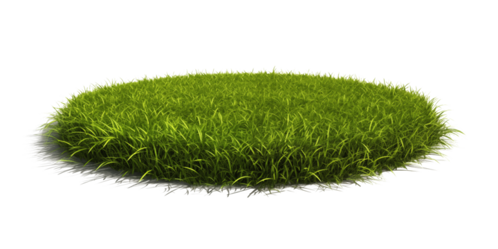 Green moss with decorative rocks and grass isolated on white background	