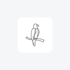 Hawk thin line vector icon, outline icon, pixel perfect icon