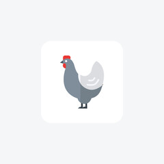 Rooster flat color vector icon, pixel perfect icon