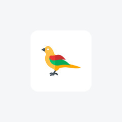 Canary flat color vector icon, pixel perfect icon