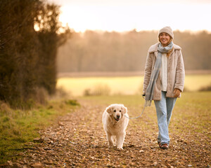 Woman Taking Golden Retriever Dog For Walk On Lead Around Field In Autumn Countryside