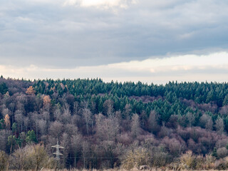 Strommasten am Waldrand