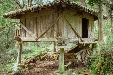 An old granery (hórreo) abandoned in the woods (Asturias)