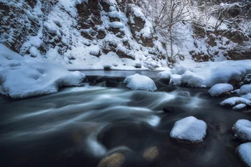 Photo sur Plexiglas Rivière forestière River flowing through a forest in winter