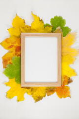 Autumn composition. Photo frame, dried leaves. Autumn, fall, Flat lay, top view