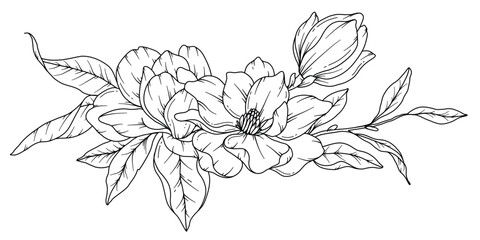 Magnolia Line Drawing. Black and white Floral Bouquets. Flower Coloring Page. Floral Line Art. Fine Line Magnolia  illustration. Hand Drawn flowers. Botanical Coloring. Wedding invitation flowers © Xenia
