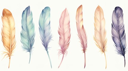 Watercolor feathers on a white background - obrazy, fototapety, plakaty