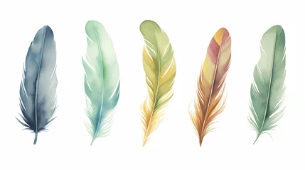 Rolgordijnen Veren Watercolor feathers on a white background