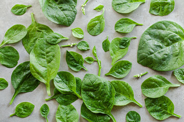 fresh spinach leaves salad healthy green on minimal grey concrete background