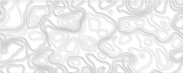 Contour map background. Vector geography scheme and terrain. Topography grid map. Stylized topographic contour map. Geographic line mountain relief. Abstract white lines or wavy backdrop background.	
