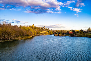 Fototapeta premium Beautiful grass swamp reed growing on shore reservoir in countryside to colored background