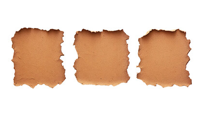 brown paper torn isolated on transparent background cutout