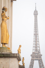 Fototapeta na wymiar Rainy Eiffel Tower from Place du Trocadéro in Paris
