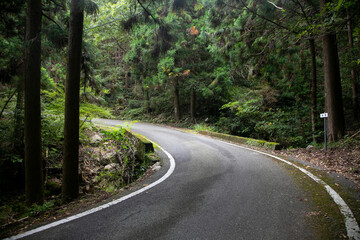 Obraz premium Winding roads in the mountains of the Wakayama Peninsula in Japan