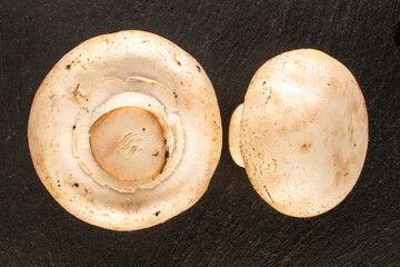 Two fragrant mushrooms on slate stone, macro, top view.