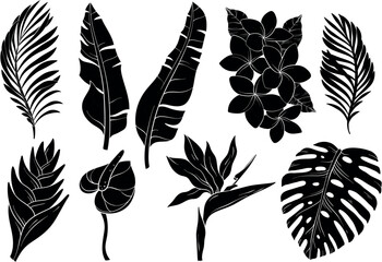 Set of tropical silhouettes of leaves and flowers