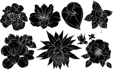 Collection of silhouettes of flowers