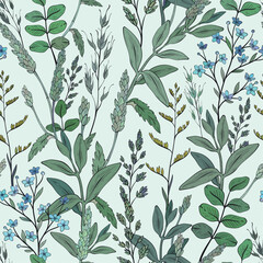 Seamless pattern with wild herbs and leaves
