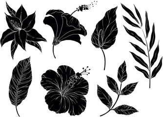 Set of Silhouettes of tropical leaves.