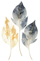 Set of golden and blue tree leaves on white background. Great for wall art and home decor. Set of three transparent golden dark blue leaves on white background illustration