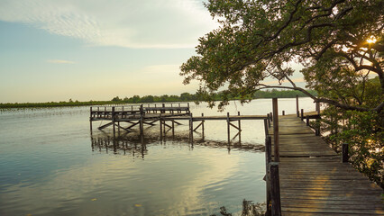 Naklejka premium Wooden bridge at Tung Prong Thong,Golden Mangrove Field in sunset, Pra Sae, Rayong, Thailand. wooden bridge in a mangrove forest.