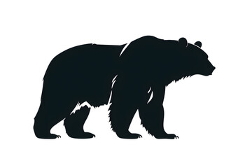 Fototapeta premium silhouette of bear