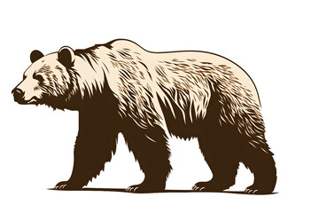 brown bear 
