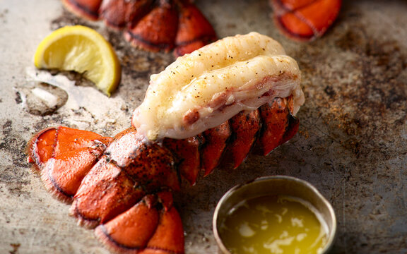 Buttery Lobster Tail