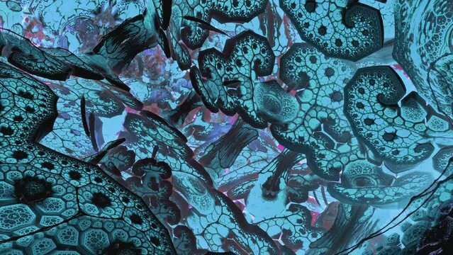 Experience an immersive journey as the camera takes a flight through an abstract structure, revealing a world of unexpected patterns and designs.
