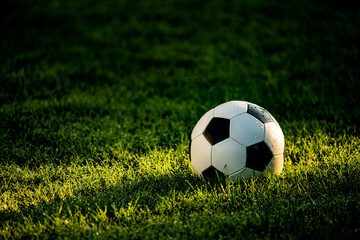 A soccer ball in the gras with a shaft of sunlight - obrazy, fototapety, plakaty