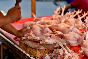 Close-up of a Poultry Seller's Hand at a Traditional Market