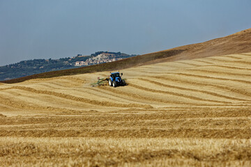 Obraz premium Harvester tractor at work in a wheat field in the Tuscan countryside wheat Working the land for ecological Nature and eco corn dough green ecology farmers protest tractors 