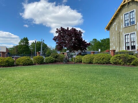 Downtown City Park
