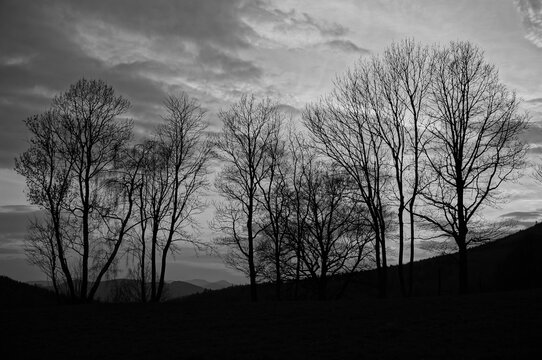 Beautiful scenery: Monochrome photo and dramatic clouds with tree silhouettes on hill