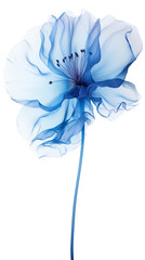 a blue flower, silk texture flower, white background,extreme dreaming created with Generative Ai
