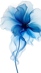 Fototapeta premium a blue flower, silk texture flower, white background,extreme dreaming created with Generative Ai