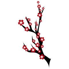 Fototapeta premium red chinese cherry blossom with black branch