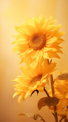 a sunflower, smooth silk background, bright light, dreamy light and shadow, created with Generative Ai