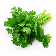 parsley bunch isolated on white background